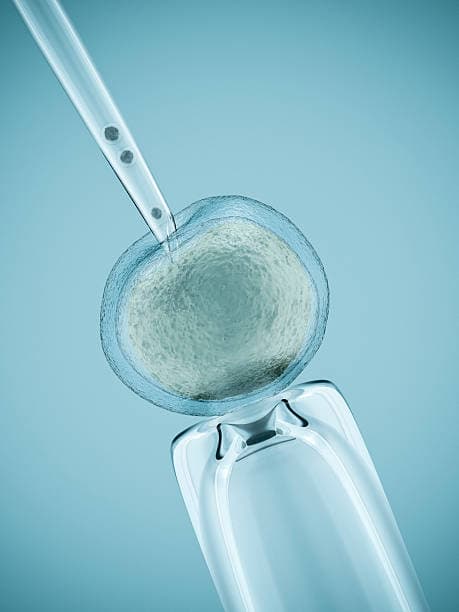 Fertility & IVF Clinics