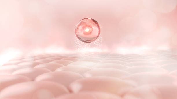 Dermatology & Aesthetic Skin Clinics
