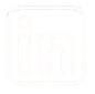 LinkedIn Icon