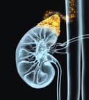 Oncology & Nephrology